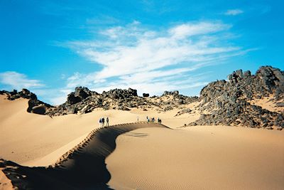 Randonnée avec chameau Algérie