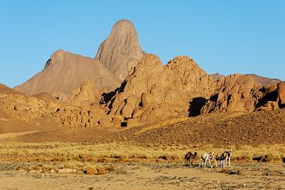 Voyage Algérie