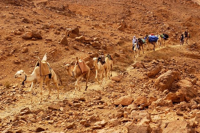 Randonnée avec chameau : Randonnée dans le Hoggar Voyage Randonnée dans le Hoggar
