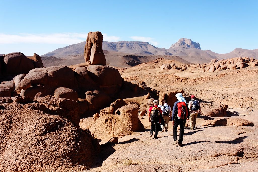 Randonnée avec chameau Algérie