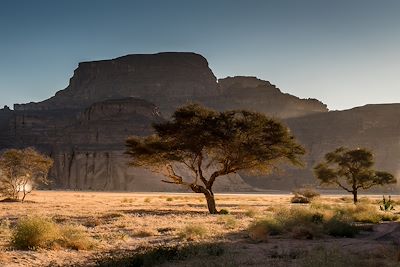 Voyage Algérie