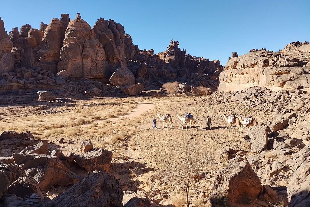 Voyage Algérie