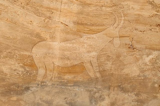 Voyage Voyage spécial archéologie au plateau de Séfar