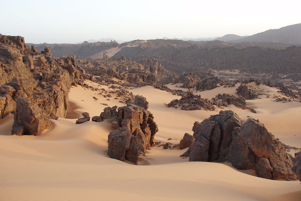 Voyage Algérie
