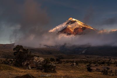 Trek Equateur