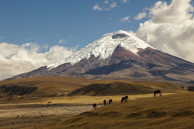 Haute Montagne : Cotopaxi (5897m) et Chimborazo (6268m) Voyage Cotopaxi (5897m) et Chimborazo (6268m)