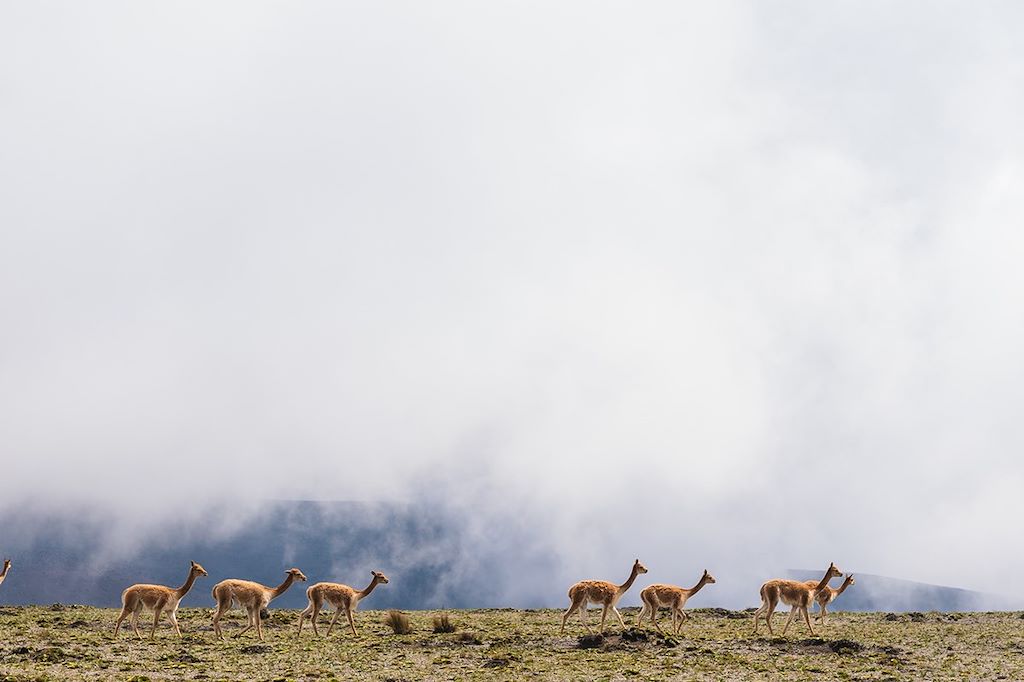 Autotour Equateur