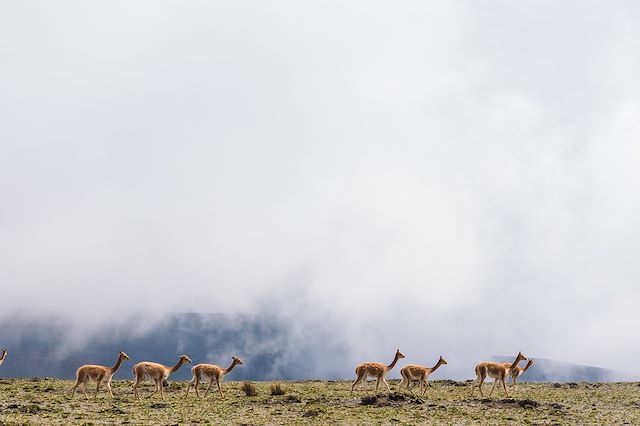Autotour : À la découverte des volcans, de Quito à Cuenca Voyage À la découverte des volcans, de Quito à Cuenca