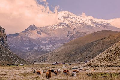 Voyage Montagne Equateur