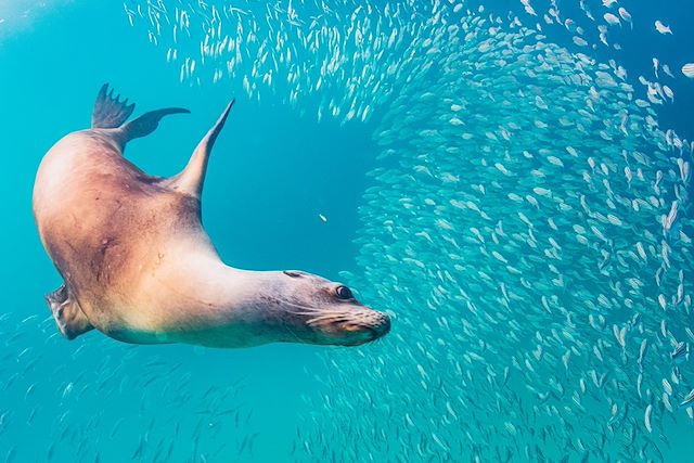 Bord de mer et îles : Objectif Galápagos Voyage Objectif Galápagos
