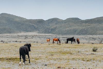 Voyage Patrimoine et Nature Equateur