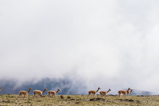 Patrimoine et Nature : La ronde des volcans d'Equateur Voyage La ronde des volcans d'Equateur