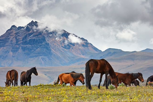 Voyage Jungle, volcans et archipel des Galápagos