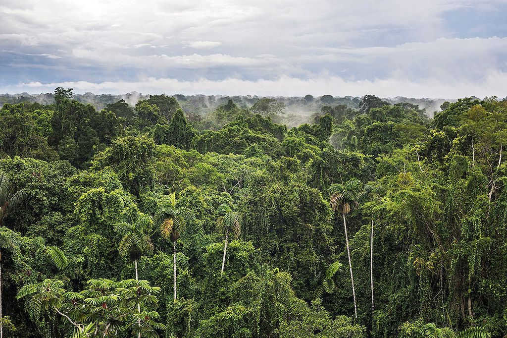 Randonnée Equateur