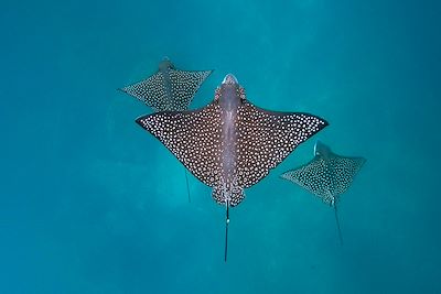 Voyage Bord de mer et îles Equateur