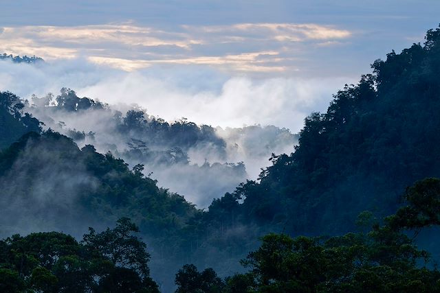 Voyage Cap sur l’Équateur entre jungle et volcans