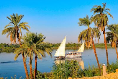Navigation Vallée du Nil et Louxor