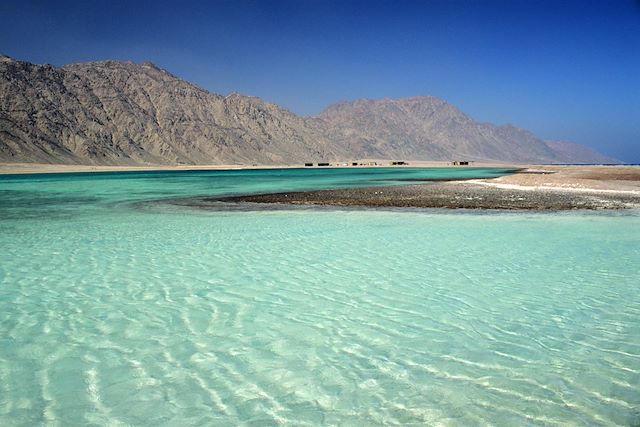 Voyage Mer Rouge, dauphins et récifs coralliens