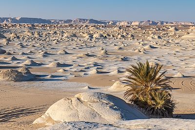 Circuits accompagnés Egypte