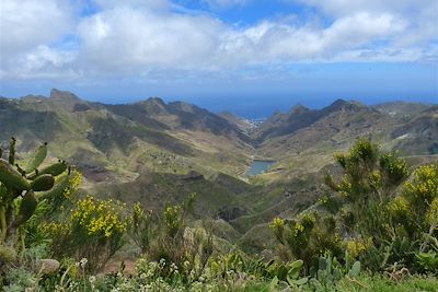 Voyage Canaries