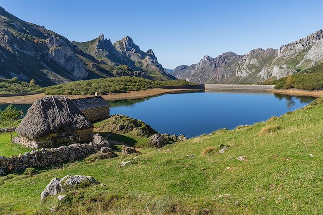 Voyage : Sur les traces de l'ours brun des Asturies Voyage Sur les traces de l'ours brun des Asturies