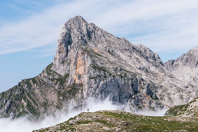 Voyage : Sur les traces de l'ours brun des Asturies Voyage Sur les traces de l'ours brun des Asturies