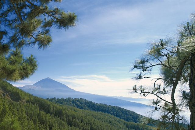 Teide : Randonnées et baignades à Tenerife et Gomera Voyage Randonnées et baignades à Tenerife et Gomera