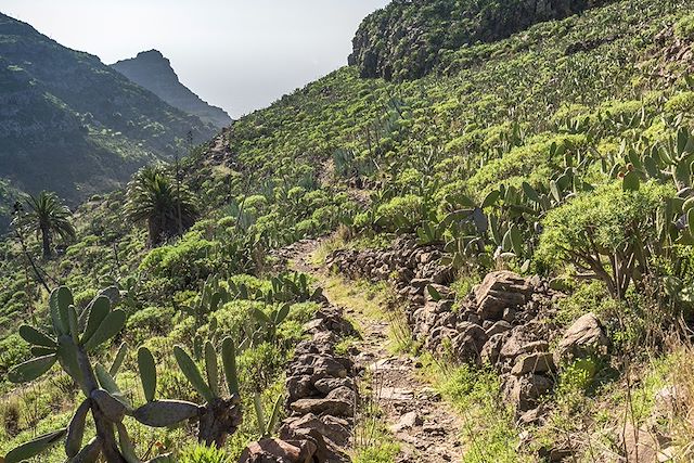 Voyage : Tenerife et La Gomera, entre volcans et océan Voyage Tenerife et La Gomera, entre volcans et océan