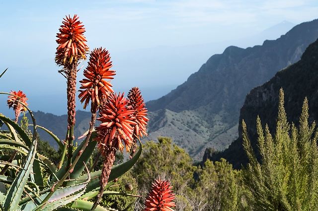 Teide : Monts et merveilles à Tenerife et Gomera Voyage Monts et merveilles à Tenerife et Gomera
