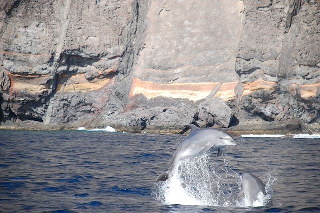 Teide : Tenerife, les aventuriers de l'île-volcan Voyage Tenerife, les aventuriers de l'île-volcan