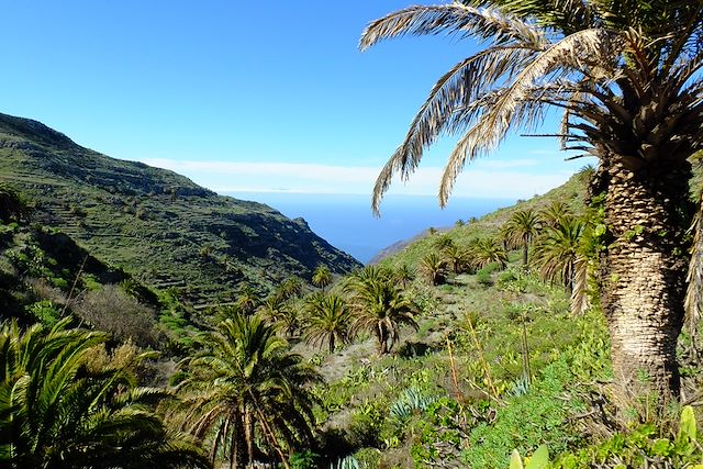 Autotour : La Gomera, randonnées et baignades  Voyage La Gomera, randonnées et baignades