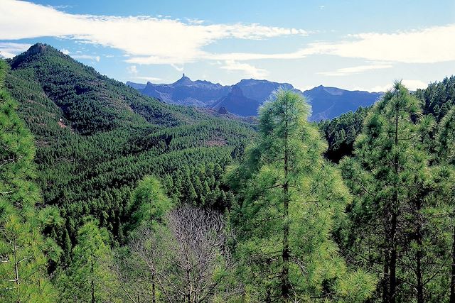 Voyage Gran Canaria : un charme volcanique !