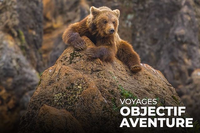 Voyage : Sur les traces de l'ours brun des Asturies Voyage Sur les traces de l'ours brun des Asturies