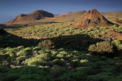 El Hierro, l'île volcan