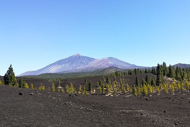 Voyage Tenerife et Gomera: ascension, volcans, barrancos 