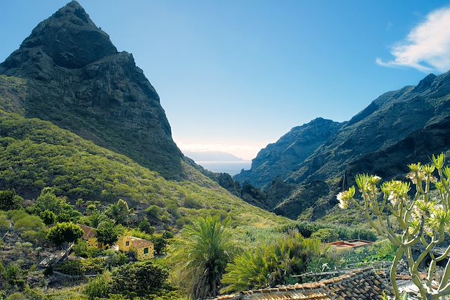 Voyage Tenerife et Gomera, randonnées enchantées