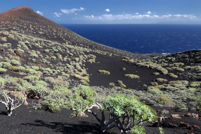 Voyage Tenerife, Gomera, La Palma, les îles fortunées