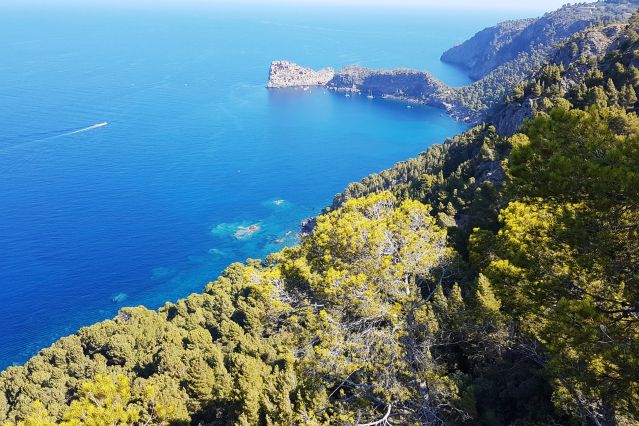 Voyage Randonnées, baignades et navigations à Majorque