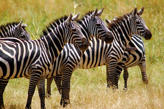 Forêts, collines, rivières et lacs : L'Ethiopie du nord au sud Voyage L'Ethiopie du nord au sud