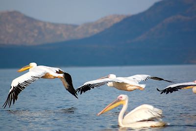 Voyage Forêts, collines, rivières et lacs Ethiopie