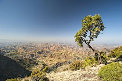 Voyage  Abyssinie