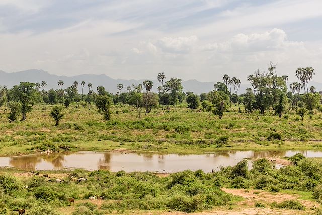 Voyage Safari dans le parc Churchura et peuples de l'Omo 