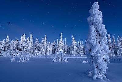 Voyages liberté Finlande