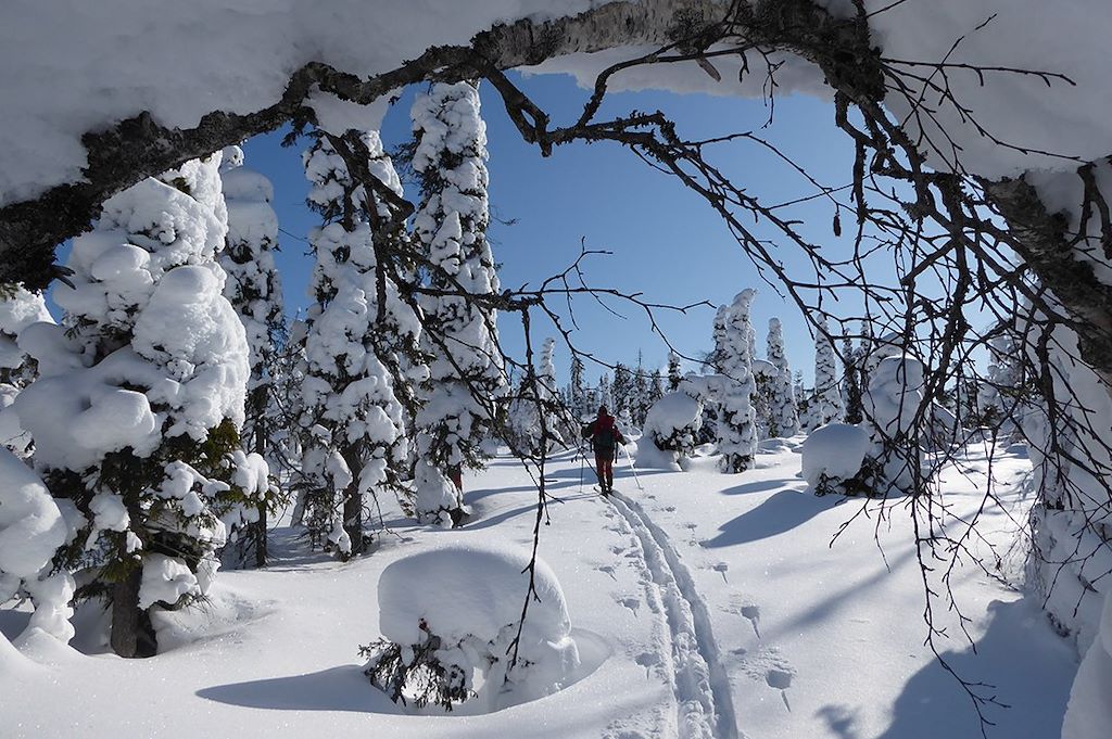 Voyage Raid chien de traineau et ski pulka en Finlande 1