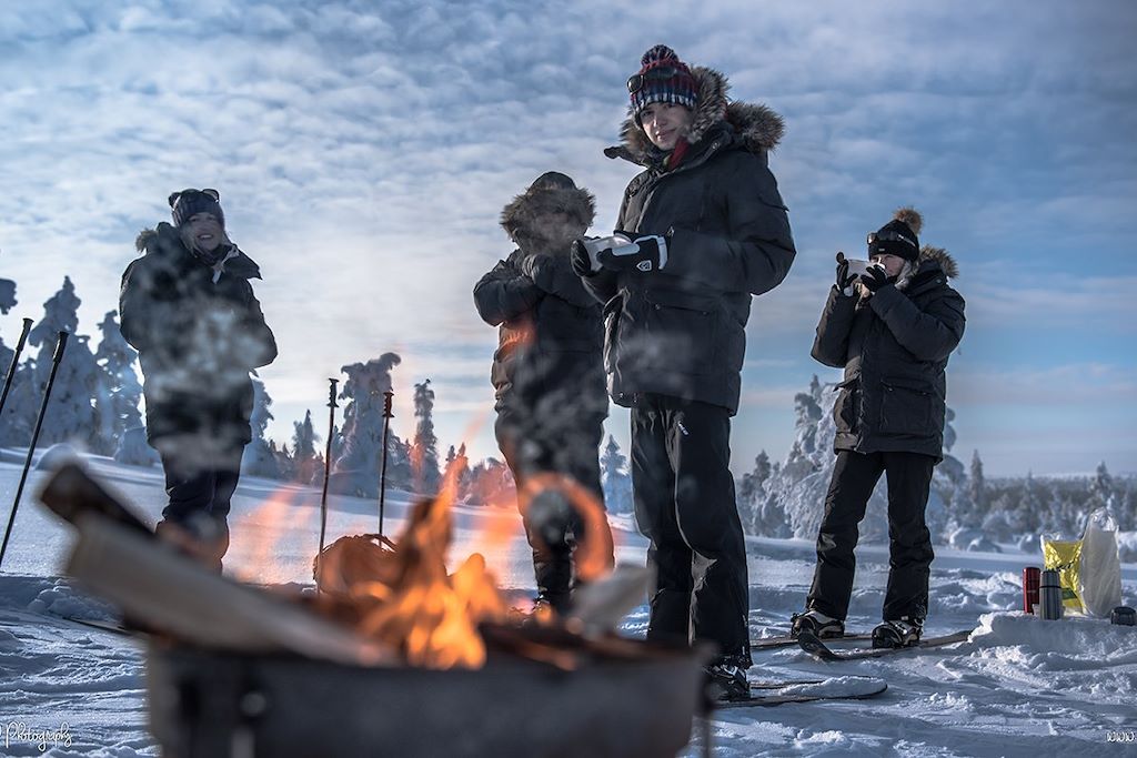 Voyage Raid chien de traineau et ski pulka en Finlande 2