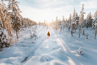 Aurores boréales Laponie finlandaise