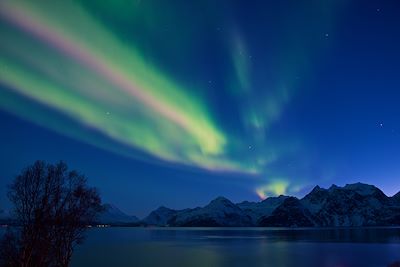 Aurores boréales Laponie finlandaise