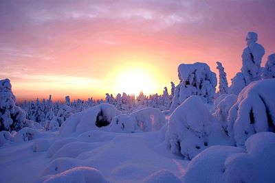 Ski de fond et ski nordique Finlande