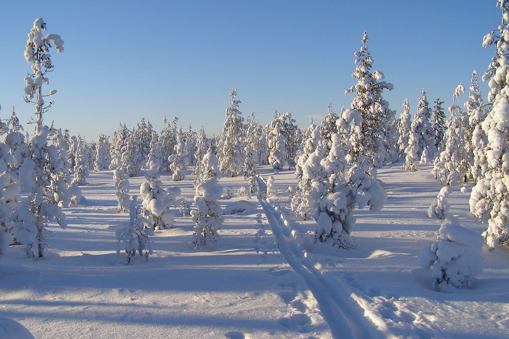 Voyage Raid en ski de fond en Laponie 1