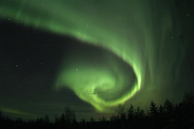 Observation animalière Finlande